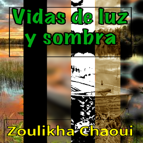 Portada del libro Vidas de luz y sombra, en la que se ve un paisaje de campo en varias franjas verticales y en cada una el paisaje se ve diferente, en blanco y negro, con manchas, en sepia, borroso, negro...